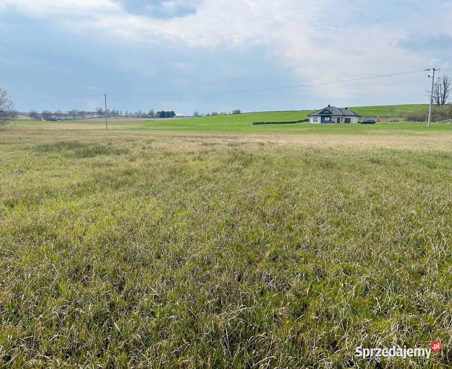 Działka budowlana z dostępem do rzeki 119ha kujawsko-pomorskie Wrzeszewo