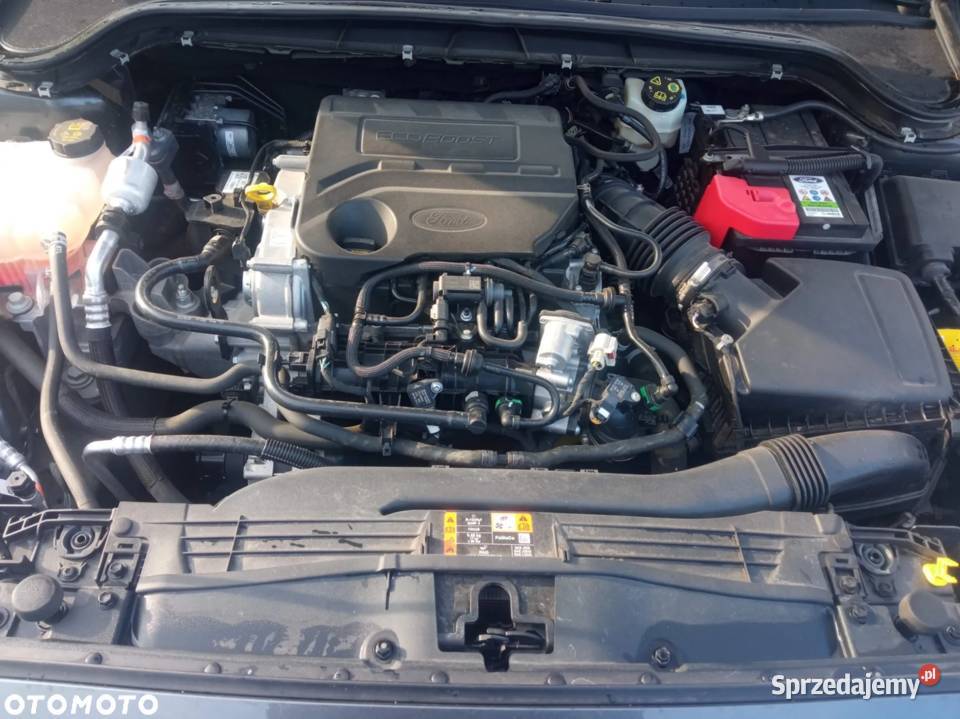 Ford Focus 10 EcoBoost Gold X ASS Jasło