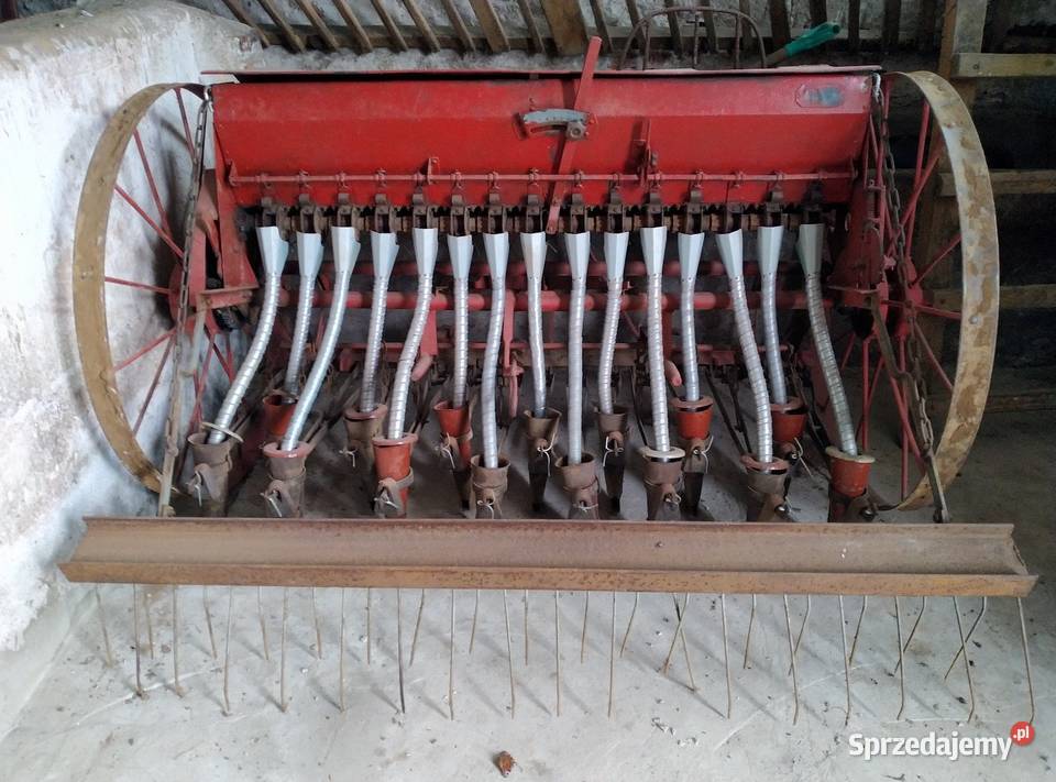 Siewnik Kaszub łódzkie