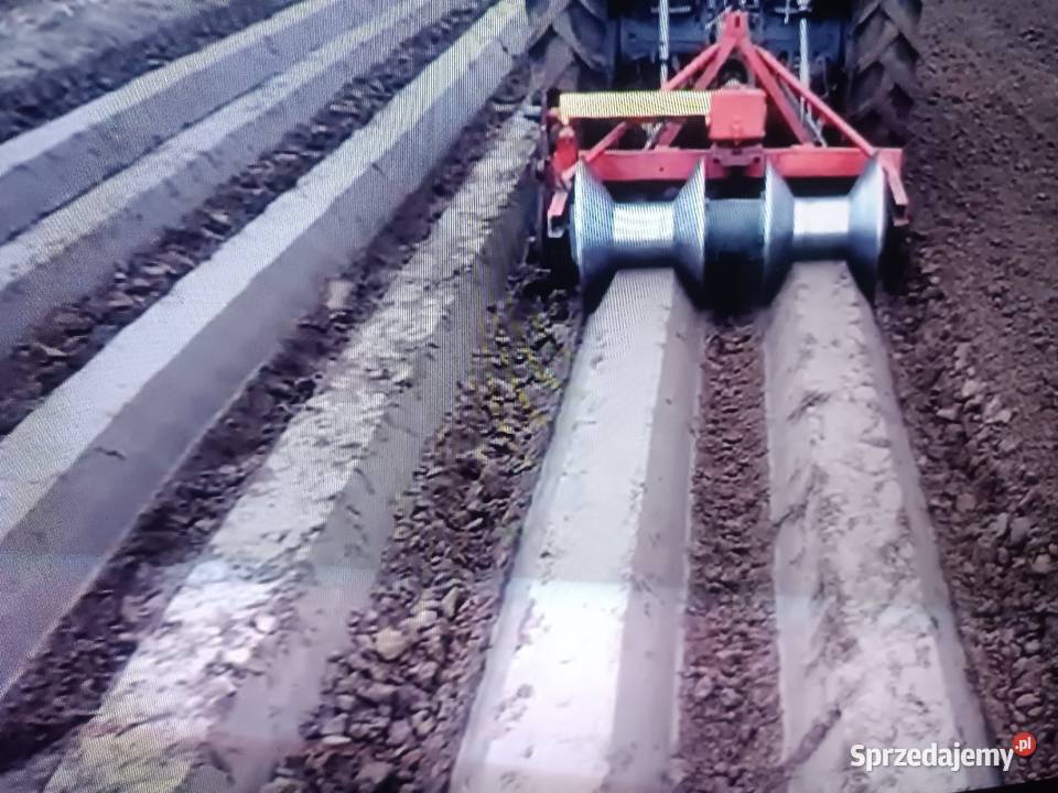 Formownica redlin pod warzywa małopolskie