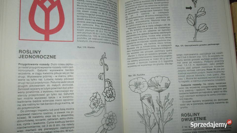 Ogrodnictwo sad rolnictwo działka ogród uprawy dom i ogród łódzkie Łódź sprzedam