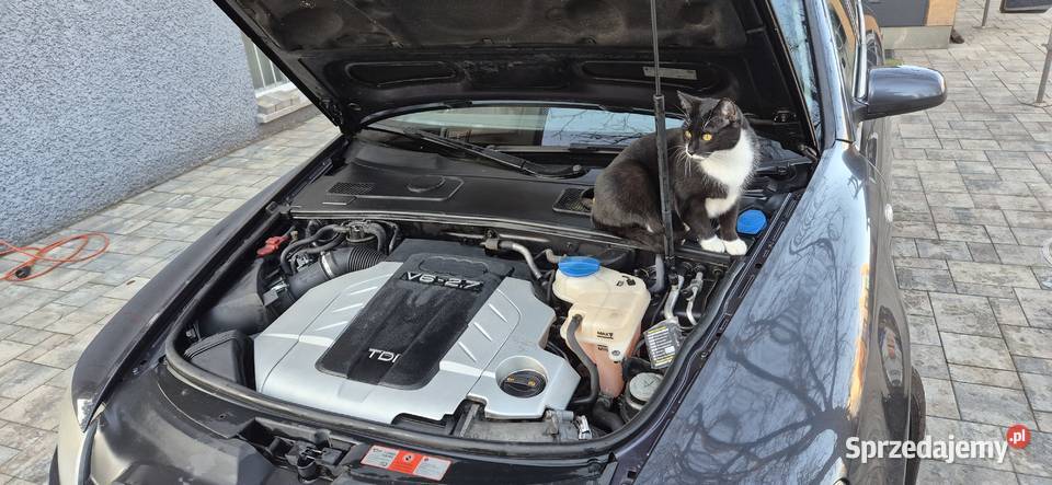 Audi A6 C6 Kombi Poraj