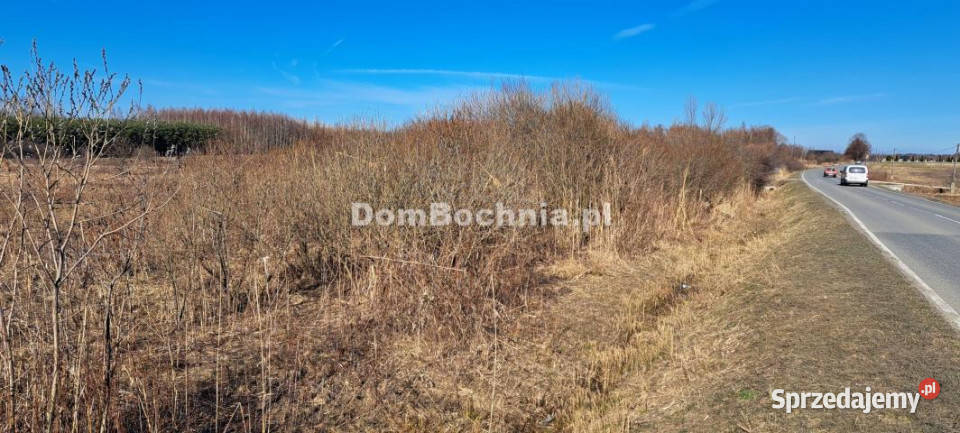 Działka Borek 4572m2