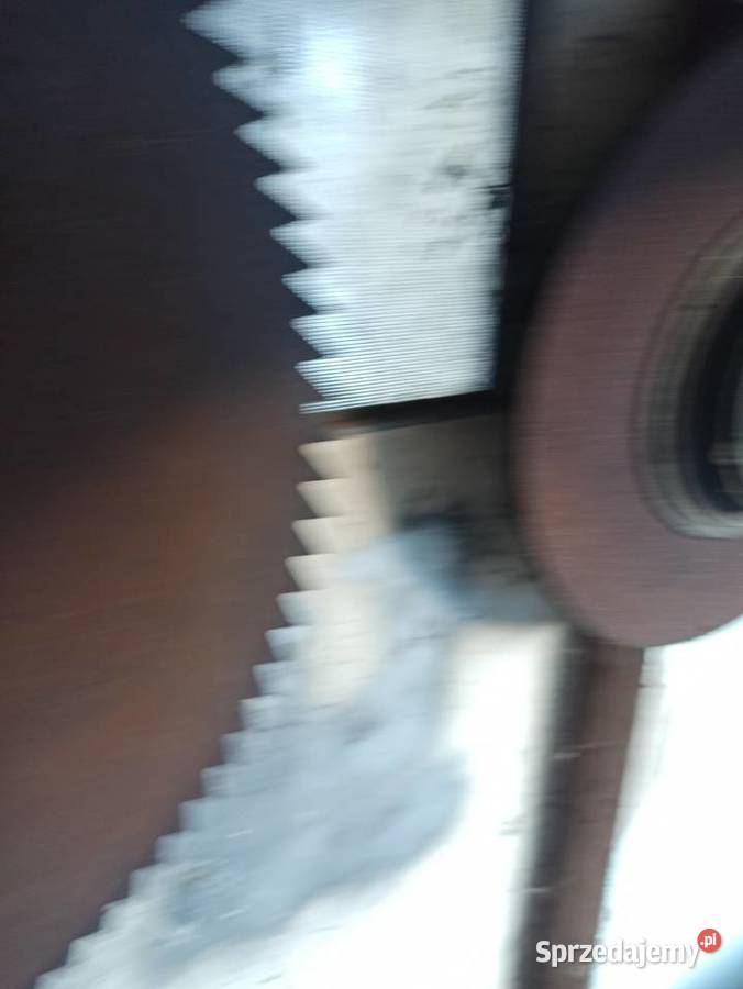 Piła do trajzegi Pilica