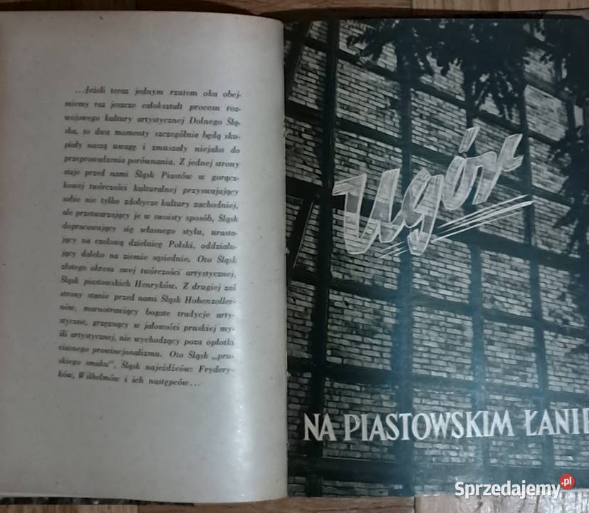 Dolny Śląsk część pierwsza Książki i Podręczniki Warszawa sprzedam