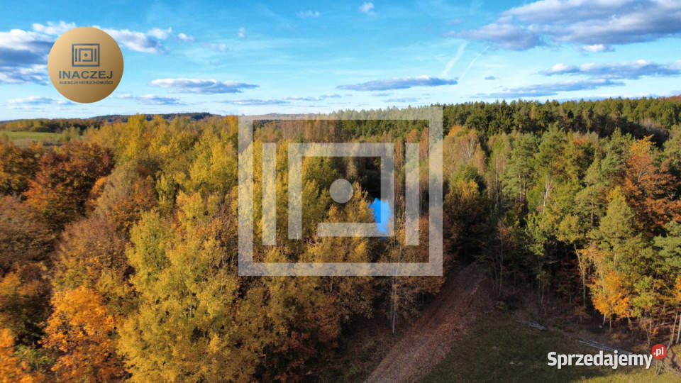 sprzedaży działki Gromadzin 3253 metry sprzedam
