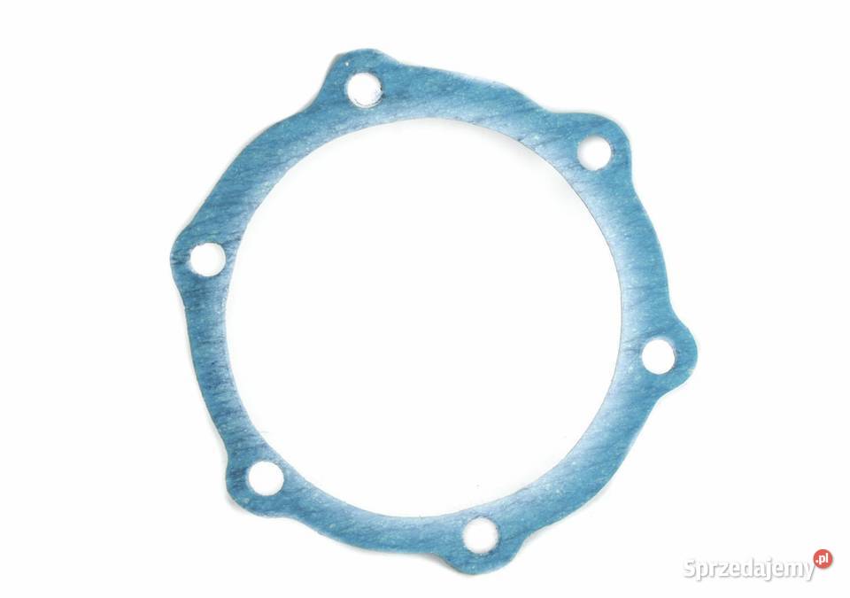 Dolny zestaw uszczelek silnika Silnik i osprzęt Tajęcina