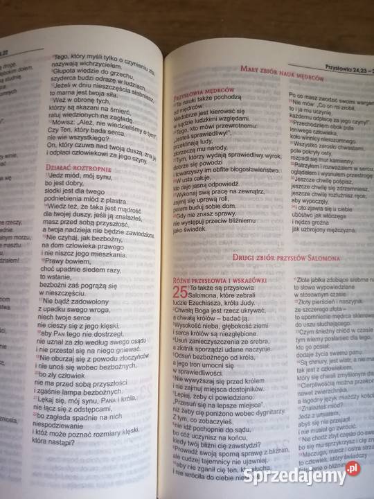 Biblia Tysiąclecia plus Biblia z rybką