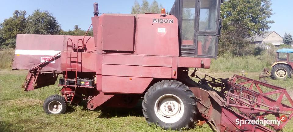 Bizon 56 Morawica