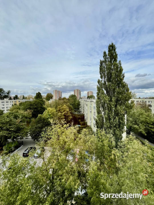423 2 POKOJE ODDZIELNA KUCHNIA PIWNICASTEGNY Piętro 5 Warszawa