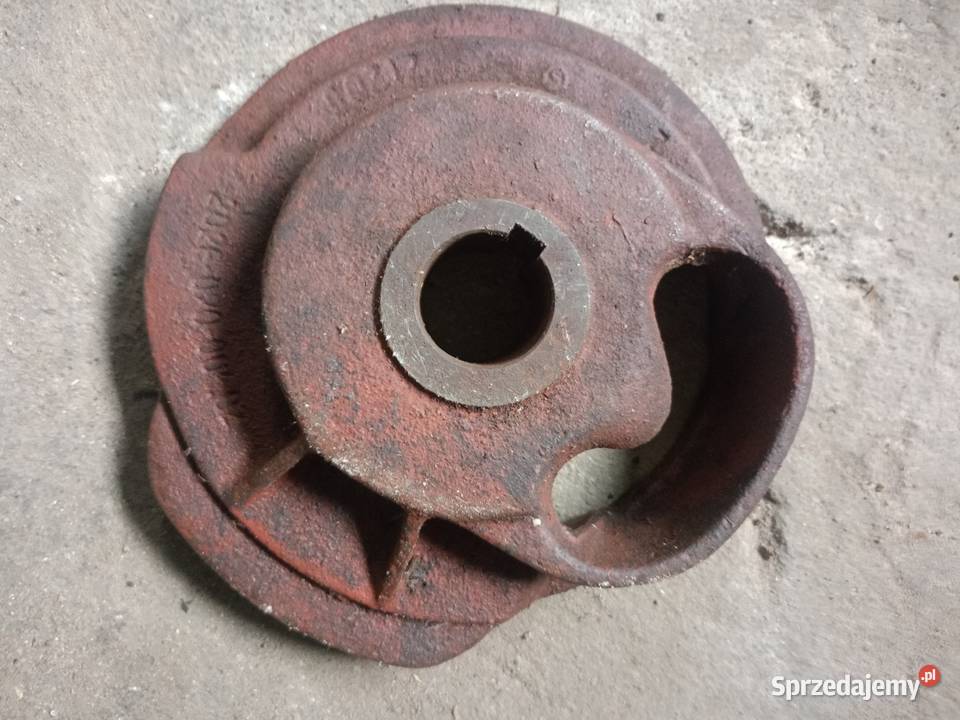 Prasa