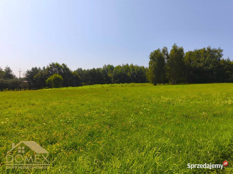 Sprzedam grunt 1052 metry Lyski śląskie