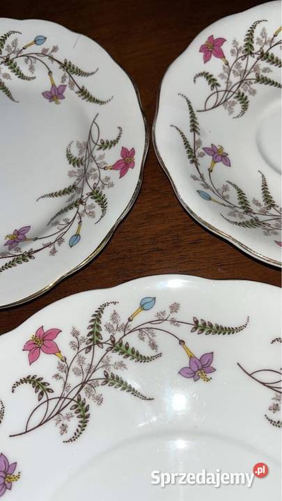 Serwis Fancy Free z Standart England Gdańsk