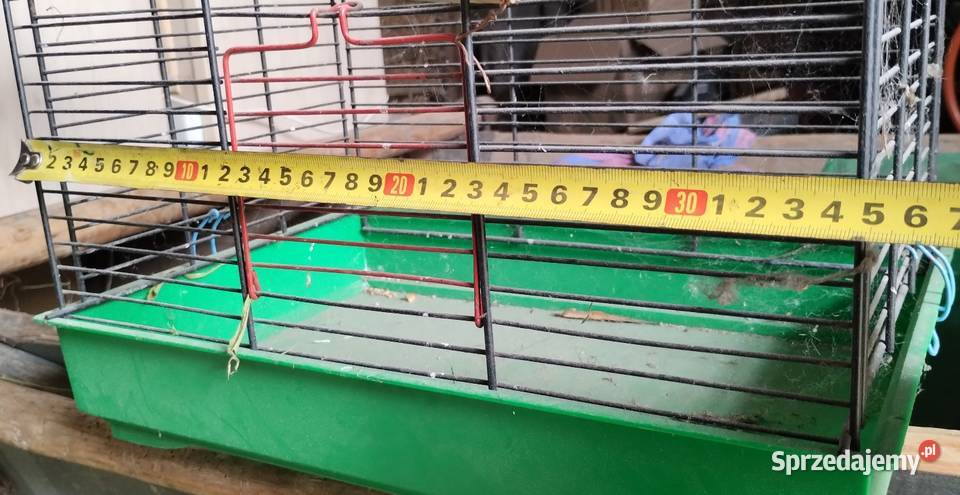 Klatka ptaków papugi kanarki zeberki podkarpackie