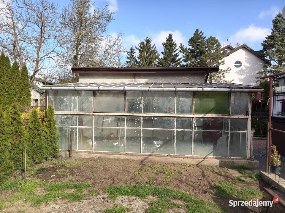Oddam szklarnię Puławy