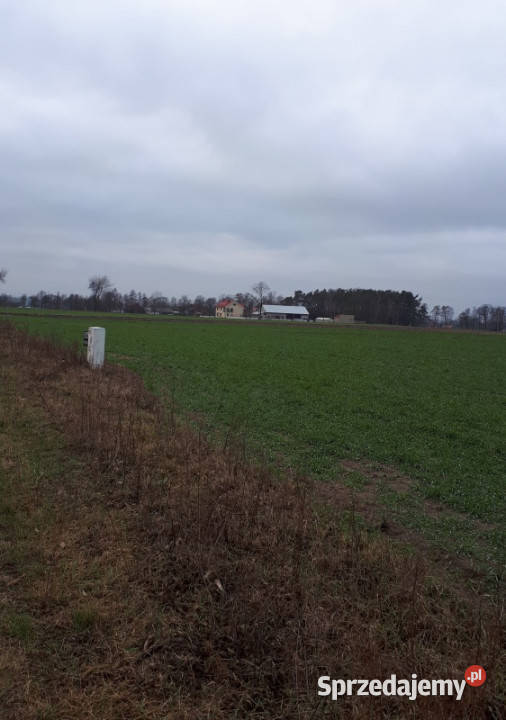 Sprzedam działki Kakawa Stara Stara Kakawa