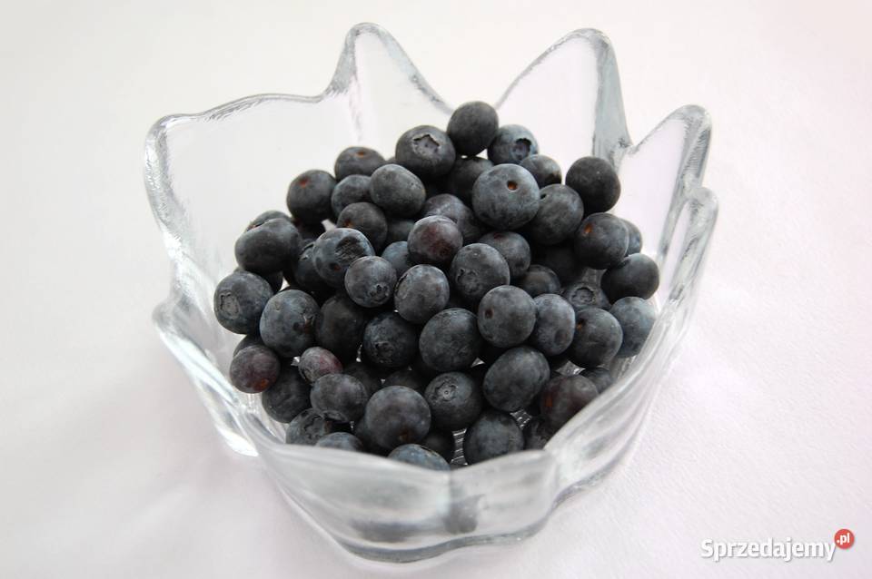 Kryształowa miska pień drzewa vintage design przezroczysty Lublin