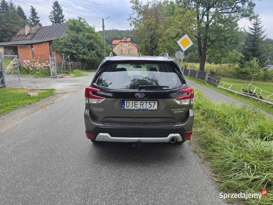 Forester 20 Eboxer Kowary
