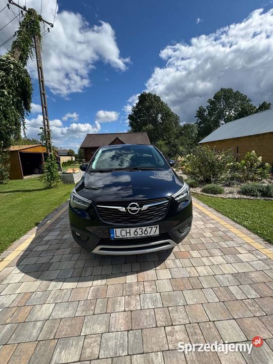 Opel Crossland 2019 Chełm