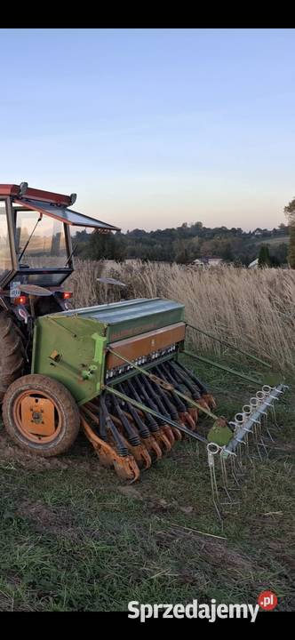 Siewnik zbożowy Amazone D7 special II Typ 25 małopolskie Trzyciąż