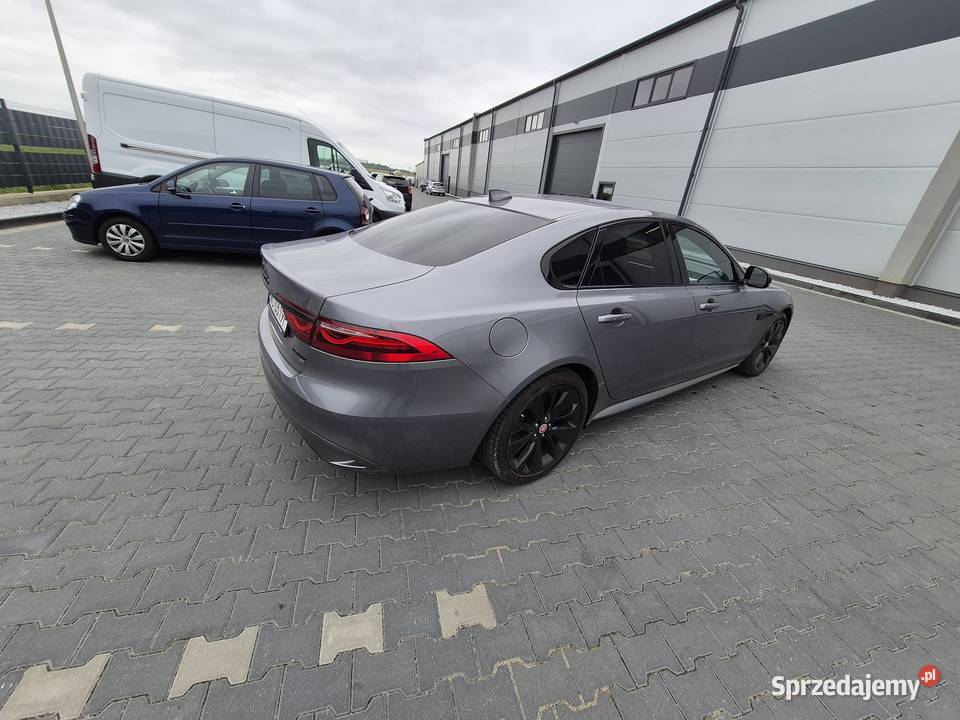 Syndyk sprzeda XF 20D I4 204 AWD Auto RDynamic mazowieckie Warszawa