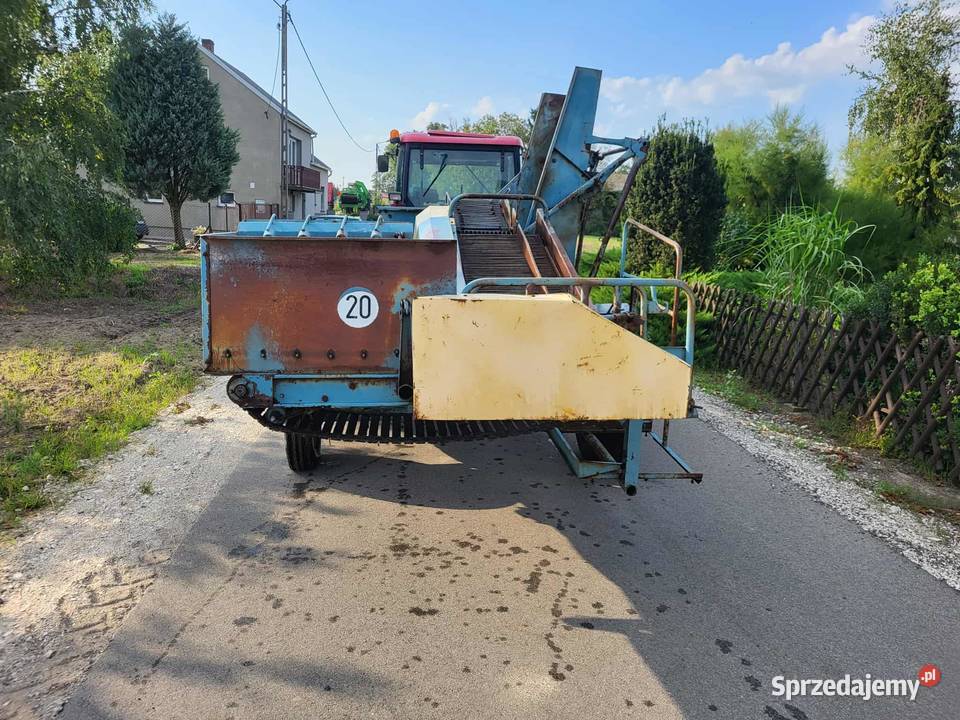 Kombajn ziemniaczany Bolko Z643 nie Anna Bolek Do ziemniaków i warzyw Osięciny