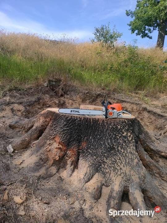 Prowadnica stihl Nawojów Łużycki
