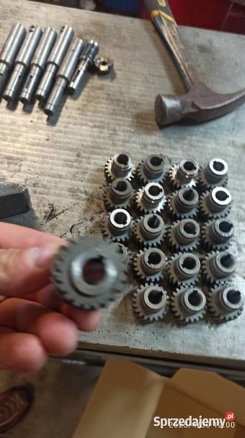 koła zębate skośne do głowic wielowrzecionowych Kłodawa