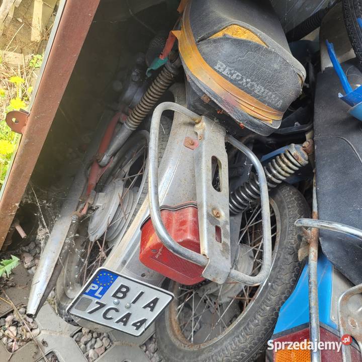 Wierchowina motorynka Białystok