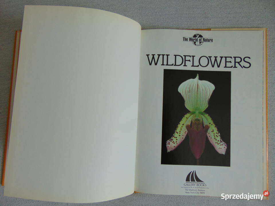 Album Wild Flowers Ann Reilly ISBN 0831795808 Lublin