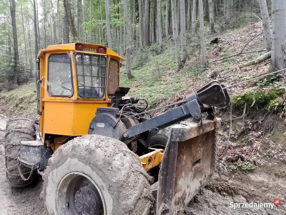 Welte es70 junior Leśnictwo Nawojowa
