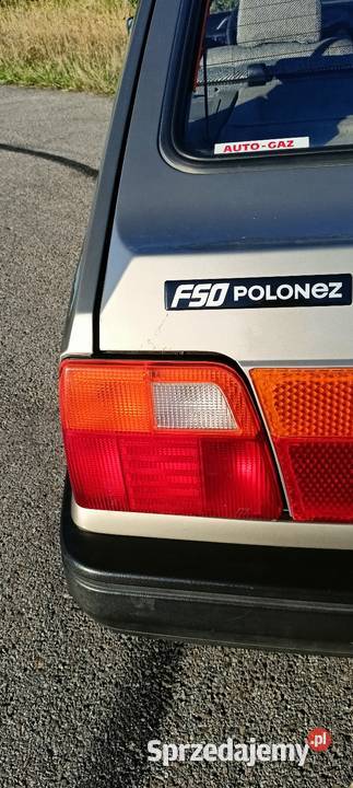 Polonez podkarpackie Rzeszów