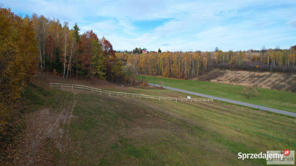sprzedaży działki TeodorówkaKolonia 2644m2 lubelskie Teodorówka-Kolonia sprzedam