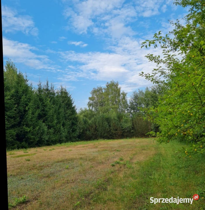 Działka z Warunkami Zabudowy obok lasu Okazja Wólka Kościeniewicka