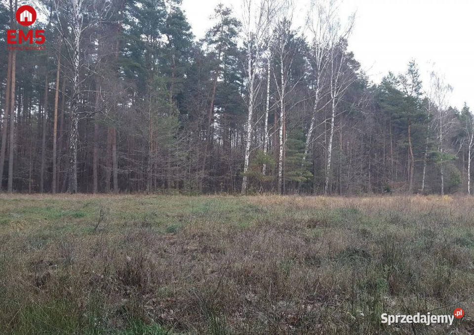 Sprzedam działka Rzepniki 1182m2 7500m2 Sprzedaż Niewodnica Nargilewska-Kolonia sprzedam