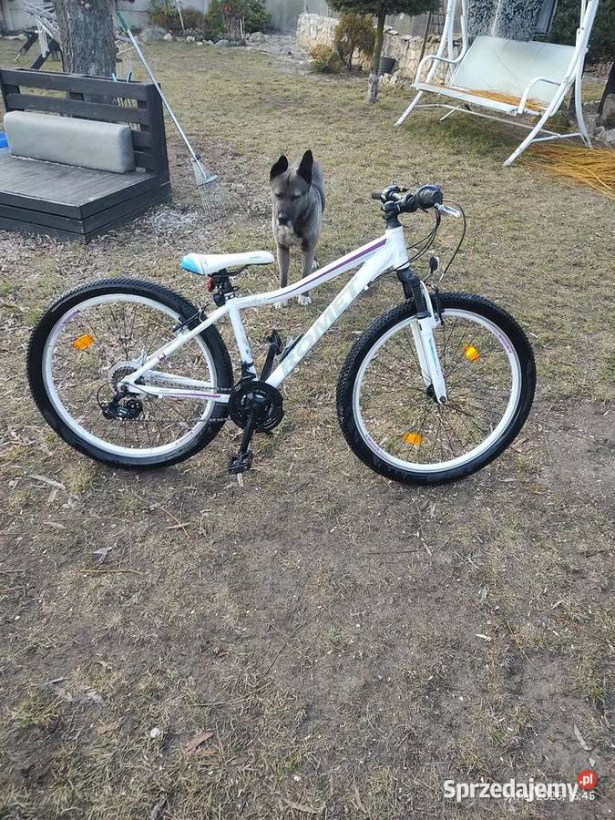 Sprzedam rower romet Choroń