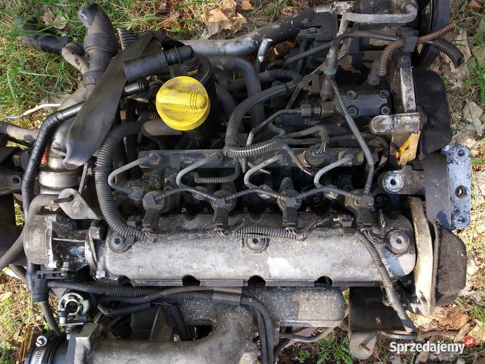 Silnik 19 dCi Renault Laguna II pęknięty pas mazowieckie Otwock