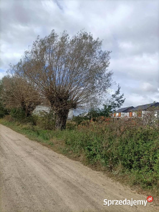 ładna działka Napachanie 881 m2 las jezioro wielkopolskie