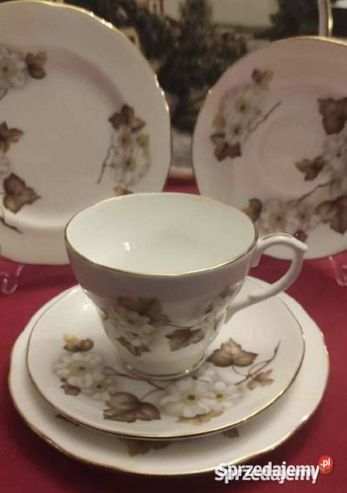 DUCHESS BONE CHINA ANGLIA Zestaw śniadaniowy Pabianice sprzedam