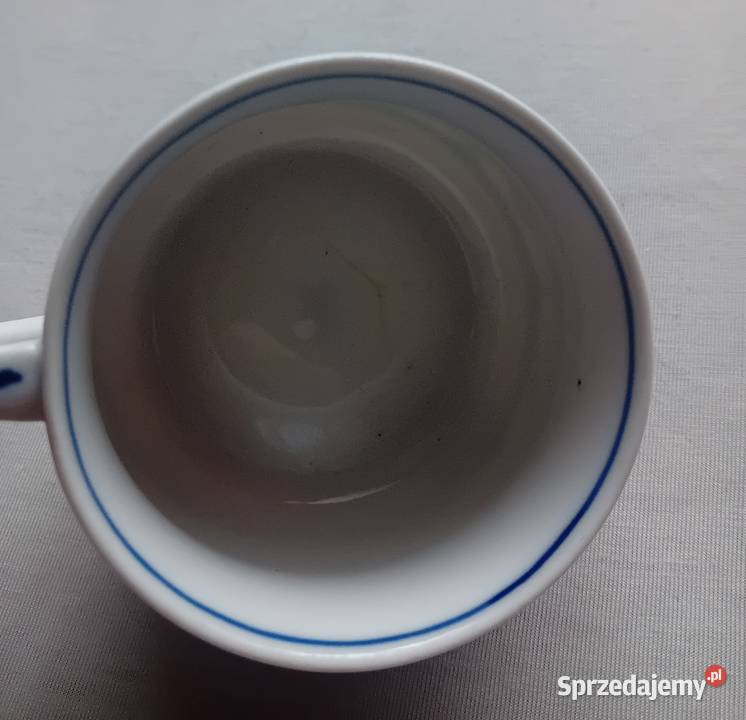 Filiżanka Carl Tielsch Altwasser Wzór słomkowy wielkopolskie