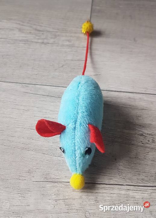 Pluszowa zabawka mysz kota niebieski małopolskie Chrzanów