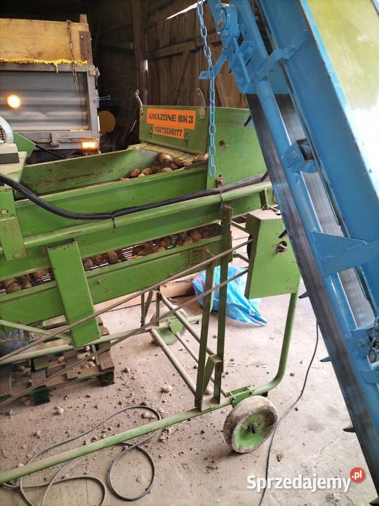 Sortownik ziemniaków AMAZONE BK3 Jędrzejów
