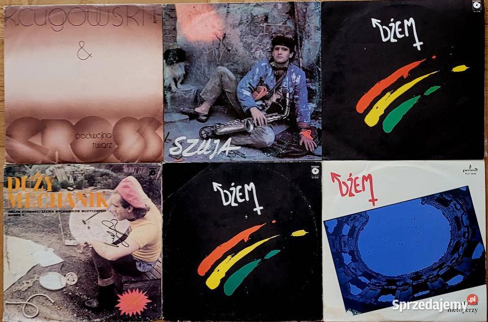 Zestaw winyli na gramofonDyskografia polskiego Warszawa sprzedam