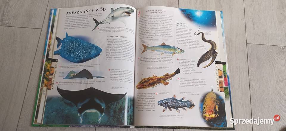 Wielki Atlas Przyrody Rok wydania 2005 Warszawa