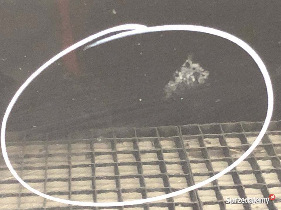 KLAPA TYŁ BMW E63 SportowyCoupe 0310 TYLNA sprzedam