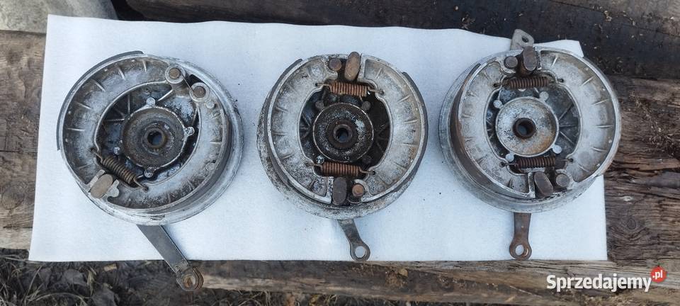 Szczękotrzymacz jawacz Biała Podlaska