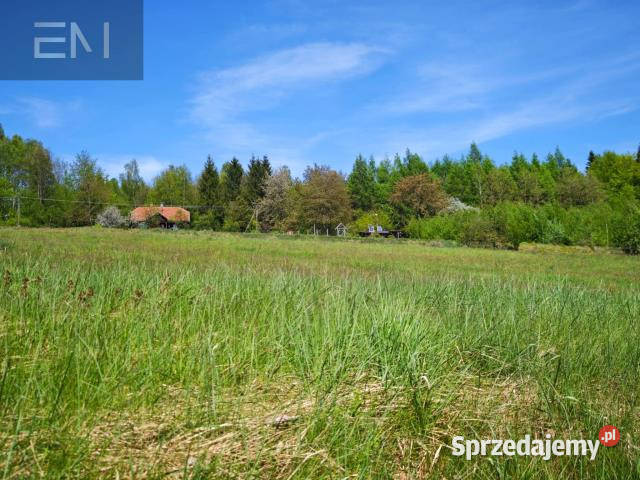 sprzedaży gruntu Lutcza 7000m2