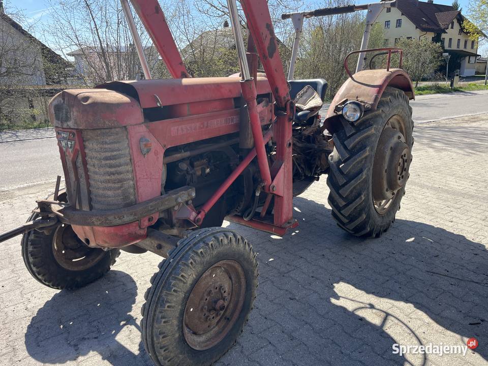 Massey Ferguson 65 Tur Niemcy Zamość