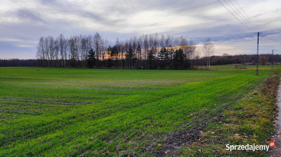 działka budowlana bugaj gmina Żytno powiat