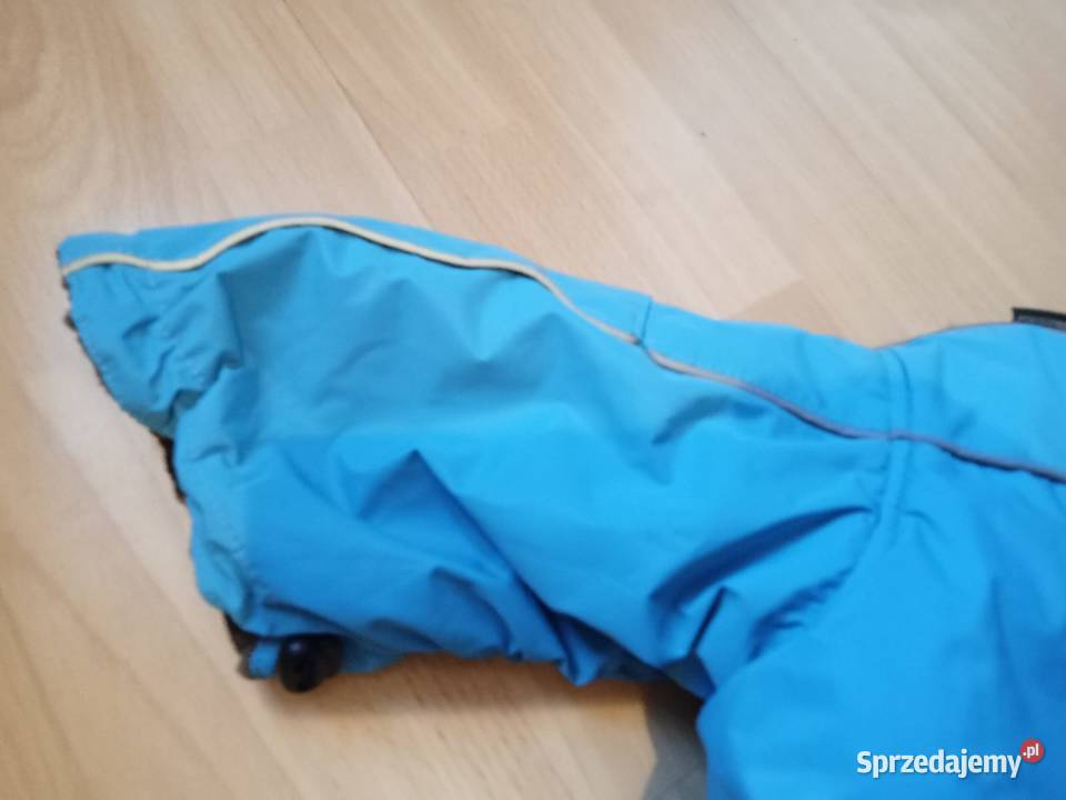 Ubranko psa Bolesławiec